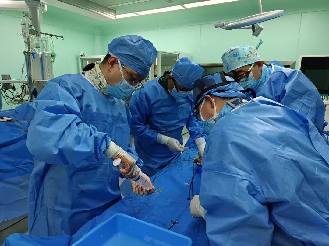 我院心腦血管病醫院成功實施左心耳封堵術