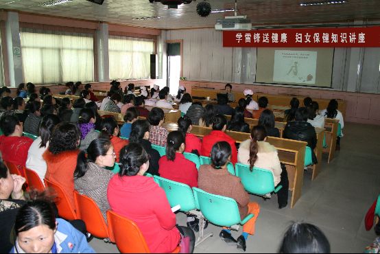 我院在河莊坪舉辦“學雷鋒傳送健康知識”講課活動